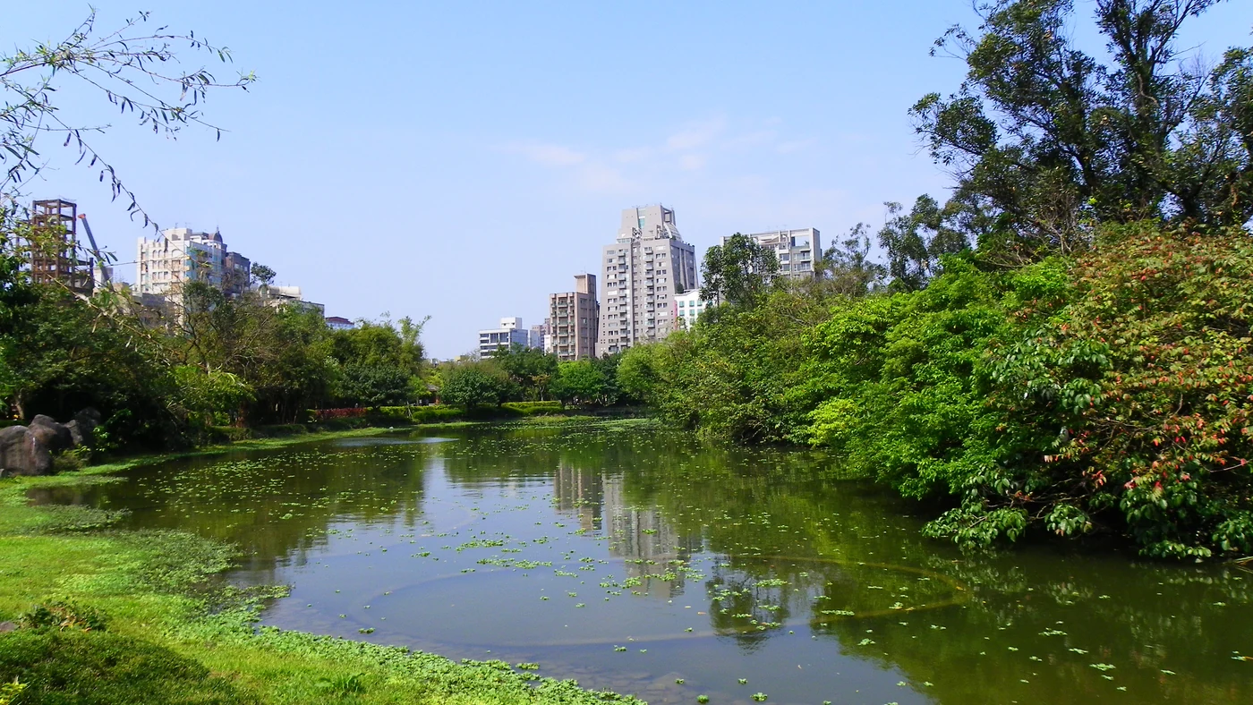 Trees reflected in the ecological pond at Daan Forest Park in Taipei