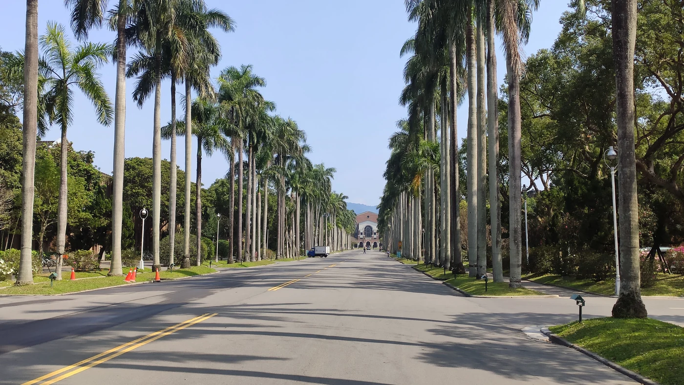 Royal Palm Boulevard leading toward the library at National Taiwan University
